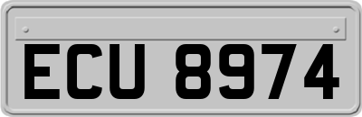 ECU8974