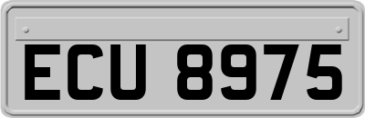 ECU8975