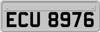 ECU8976