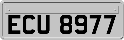 ECU8977