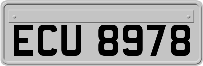 ECU8978