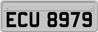 ECU8979