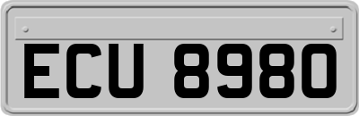 ECU8980
