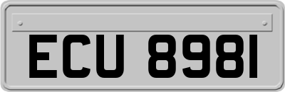 ECU8981
