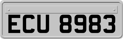 ECU8983