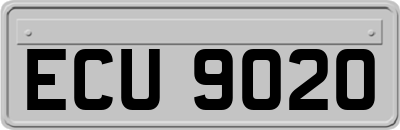 ECU9020