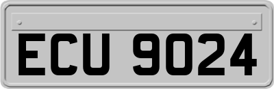 ECU9024
