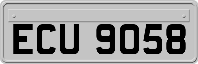 ECU9058