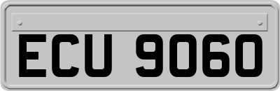 ECU9060