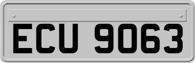 ECU9063