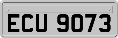 ECU9073
