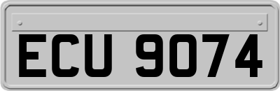 ECU9074