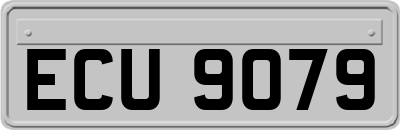 ECU9079
