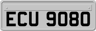 ECU9080