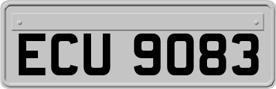 ECU9083