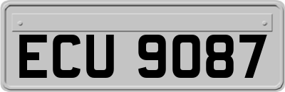 ECU9087