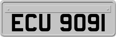 ECU9091