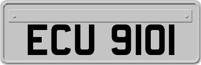 ECU9101