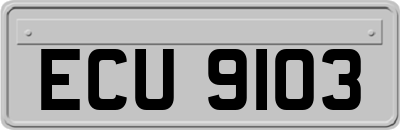 ECU9103