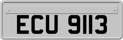 ECU9113