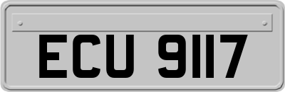 ECU9117