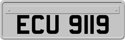 ECU9119