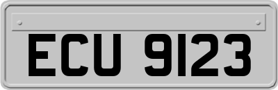 ECU9123