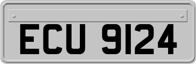 ECU9124