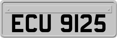 ECU9125