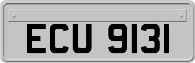 ECU9131