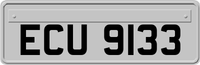 ECU9133