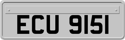 ECU9151