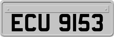 ECU9153