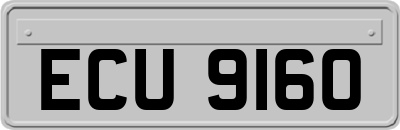 ECU9160