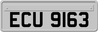 ECU9163