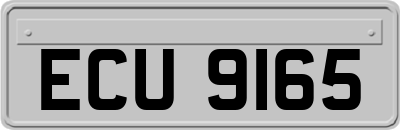 ECU9165