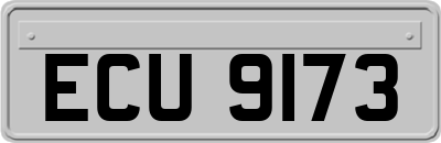 ECU9173
