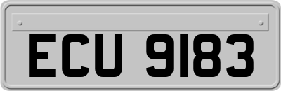 ECU9183