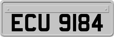 ECU9184