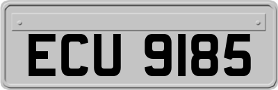 ECU9185