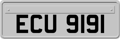 ECU9191