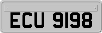 ECU9198