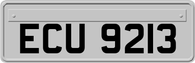 ECU9213