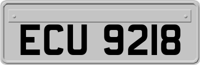 ECU9218