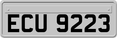 ECU9223