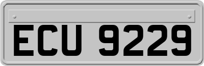 ECU9229
