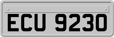 ECU9230