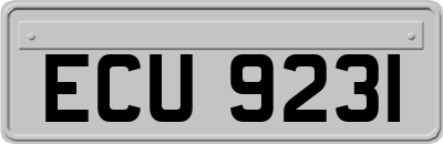 ECU9231