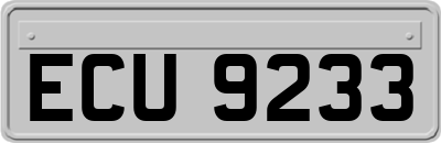 ECU9233