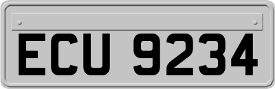 ECU9234